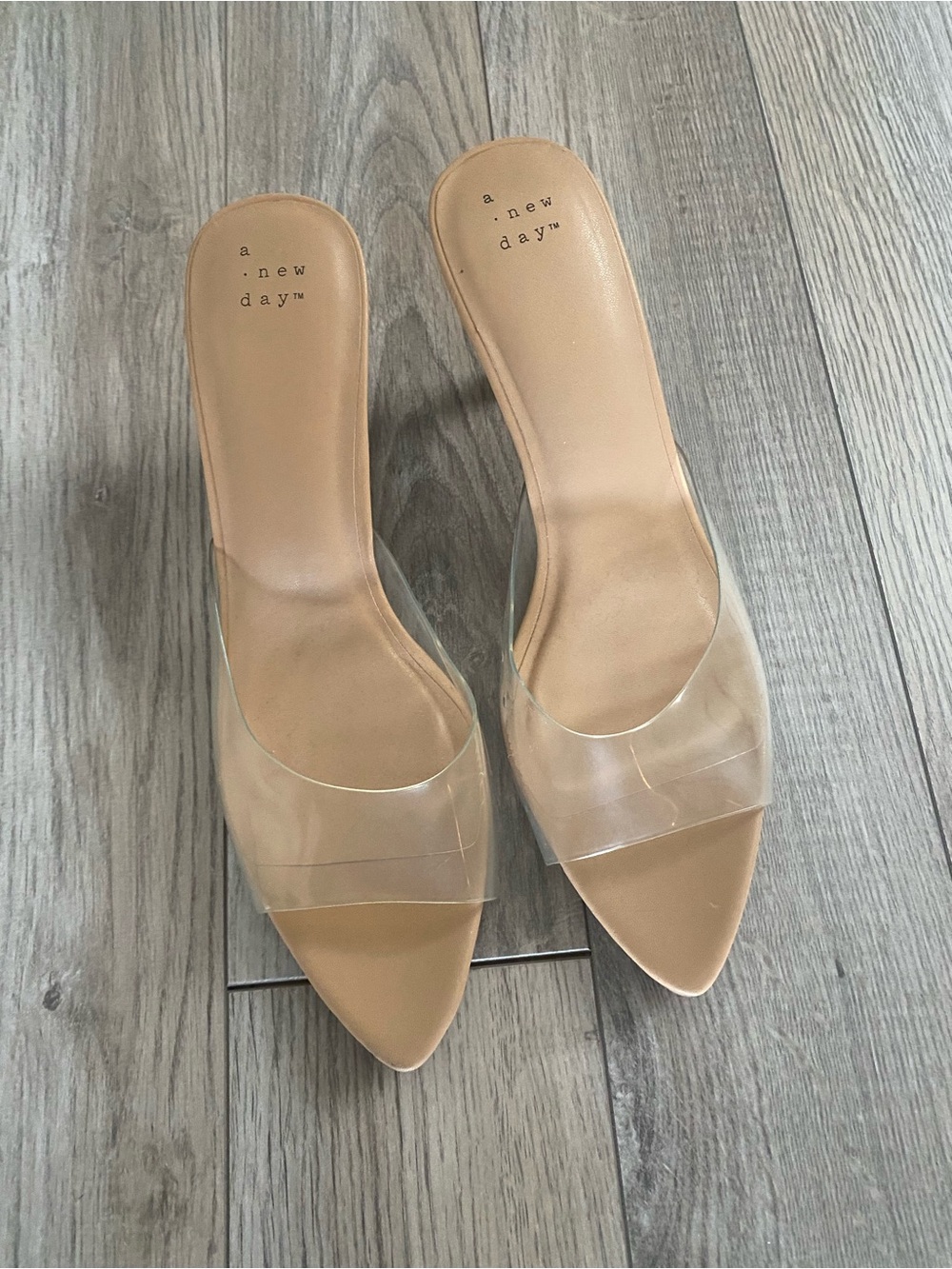 Nude Clear Strap Pointed Mule Heels